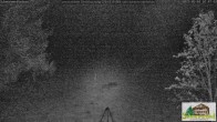 Archiv Foto Webcam Todtnauberg - Scheuermattwiese 01:00