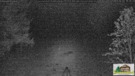 Archiv Foto Webcam Todtnauberg - Scheuermattwiese 03:00