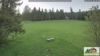 Archiv Foto Webcam Todtnauberg - Scheuermattwiese 05:00