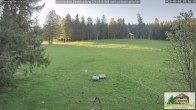 Archiv Foto Webcam Todtnauberg - Scheuermattwiese 06:00