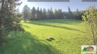 Archiv Foto Webcam Todtnauberg - Scheuermattwiese 07:00