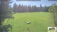Archiv Foto Webcam Todtnauberg - Scheuermattwiese 09:00