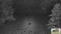 Archiv Foto Webcam Todtnauberg - Scheuermattwiese 03:00