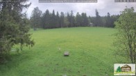 Archiv Foto Webcam Todtnauberg - Scheuermattwiese 05:00