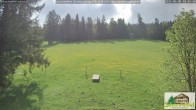 Archiv Foto Webcam Todtnauberg - Scheuermattwiese 09:00