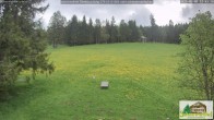 Archiv Foto Webcam Todtnauberg - Scheuermattwiese 11:00