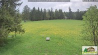 Archiv Foto Webcam Todtnauberg - Scheuermattwiese 13:00