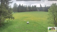 Archiv Foto Webcam Todtnauberg - Scheuermattwiese 15:00