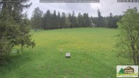 Archiv Foto Webcam Todtnauberg - Scheuermattwiese 17:00