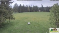 Archiv Foto Webcam Todtnauberg - Scheuermattwiese 19:00