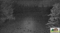 Archiv Foto Webcam Todtnauberg - Scheuermattwiese 21:00