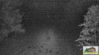 Archiv Foto Webcam Todtnauberg - Scheuermattwiese 01:00