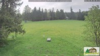Archiv Foto Webcam Todtnauberg - Scheuermattwiese 05:00