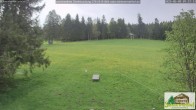 Archiv Foto Webcam Todtnauberg - Scheuermattwiese 06:00