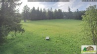 Archiv Foto Webcam Todtnauberg - Scheuermattwiese 07:00