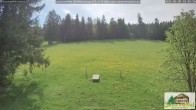 Archiv Foto Webcam Todtnauberg - Scheuermattwiese 09:00