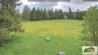 Archiv Foto Webcam Todtnauberg - Scheuermattwiese 15:00