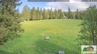 Archiv Foto Webcam Todtnauberg - Scheuermattwiese 17:00