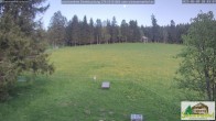 Archiv Foto Webcam Todtnauberg - Scheuermattwiese 19:00