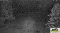 Archiv Foto Webcam Todtnauberg - Scheuermattwiese 23:00