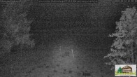 Archiv Foto Webcam Todtnauberg - Scheuermattwiese 01:00
