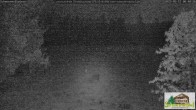 Archived image Webcam Todtnauberg - Scheuermatthof 23:00