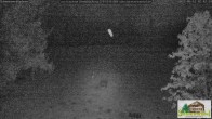 Archived image Webcam Todtnauberg - Scheuermatthof 01:00