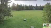 Archived image Webcam Todtnauberg - Scheuermatthof 05:00
