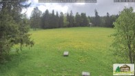 Archived image Webcam Todtnauberg - Scheuermatthof 11:00