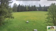 Archived image Webcam Todtnauberg - Scheuermatthof 13:00