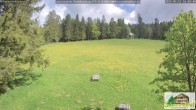 Archiv Foto Webcam Todtnauberg - Scheuermattwiese 15:00
