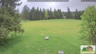 Archiv Foto Webcam Todtnauberg - Scheuermattwiese 17:00
