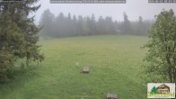 Archiv Foto Webcam Todtnauberg - Scheuermattwiese 19:00