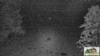Archiv Foto Webcam Todtnauberg - Scheuermattwiese 21:00