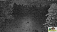 Archiv Foto Webcam Todtnauberg - Scheuermattwiese 03:00