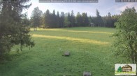 Archiv Foto Webcam Todtnauberg - Scheuermattwiese 06:00