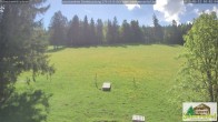 Archiv Foto Webcam Todtnauberg - Scheuermattwiese 09:00