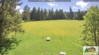 Archiv Foto Webcam Todtnauberg - Scheuermattwiese 11:00