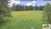 Archiv Foto Webcam Todtnauberg - Scheuermattwiese 13:00