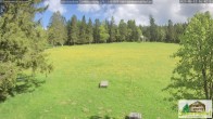 Archiv Foto Webcam Todtnauberg - Scheuermattwiese 15:00