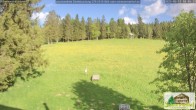 Archiv Foto Webcam Todtnauberg - Scheuermattwiese 17:00