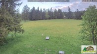 Archiv Foto Webcam Todtnauberg - Scheuermattwiese 19:00