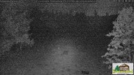 Archived image Webcam Todtnauberg - Scheuermatthof 23:00