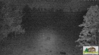 Archived image Webcam Todtnauberg - Scheuermatthof 03:00