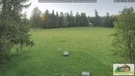 Archived image Webcam Todtnauberg - Scheuermatthof 05:00