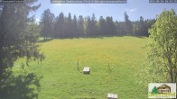 Archived image Webcam Todtnauberg - Scheuermatthof 09:00
