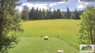 Archived image Webcam Todtnauberg - Scheuermatthof 11:00