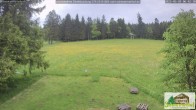Archiv Foto Webcam Todtnauberg - Scheuermattwiese 05:00