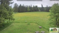 Archiv Foto Webcam Todtnauberg - Scheuermattwiese 07:00