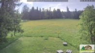 Archiv Foto Webcam Todtnauberg - Scheuermattwiese 09:00